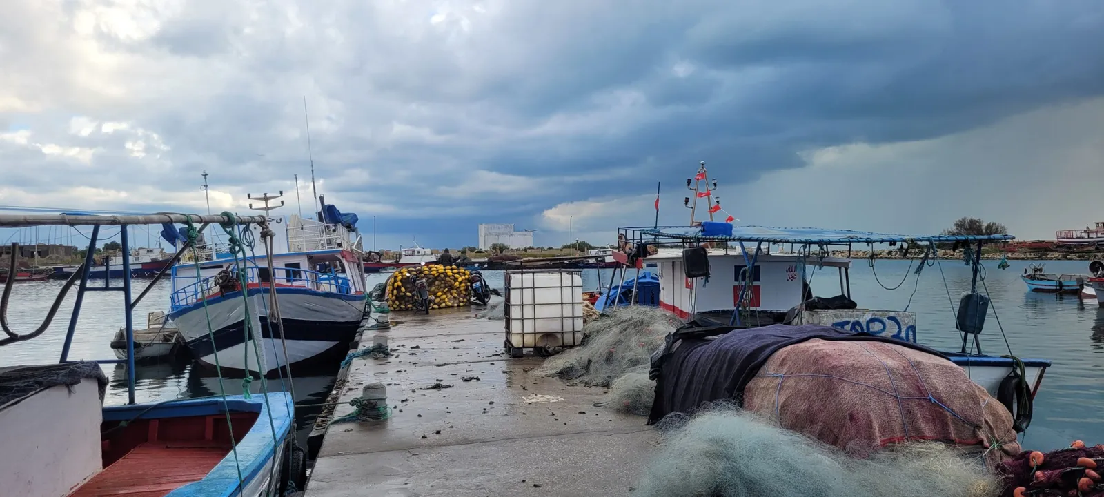 Les Dauphins: victimes de l’interaction avec les pêcheurs