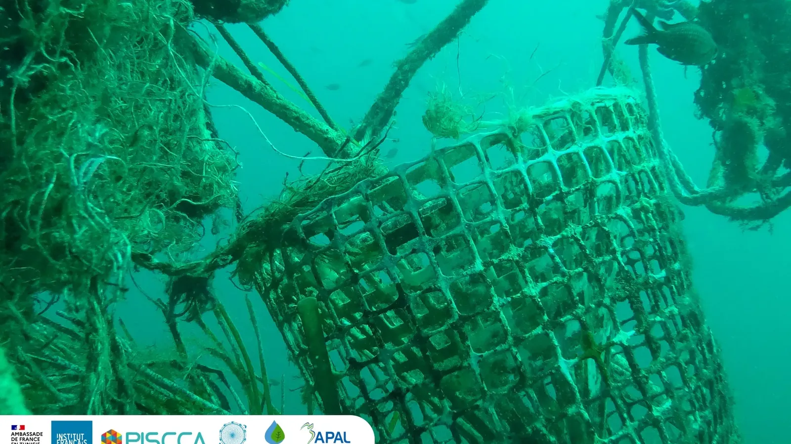 Piège en plastique trouvé par l'ONG APEK lors de la campagne de nettoyage à Monastir. Date : 2022 Copyright : Association APEK