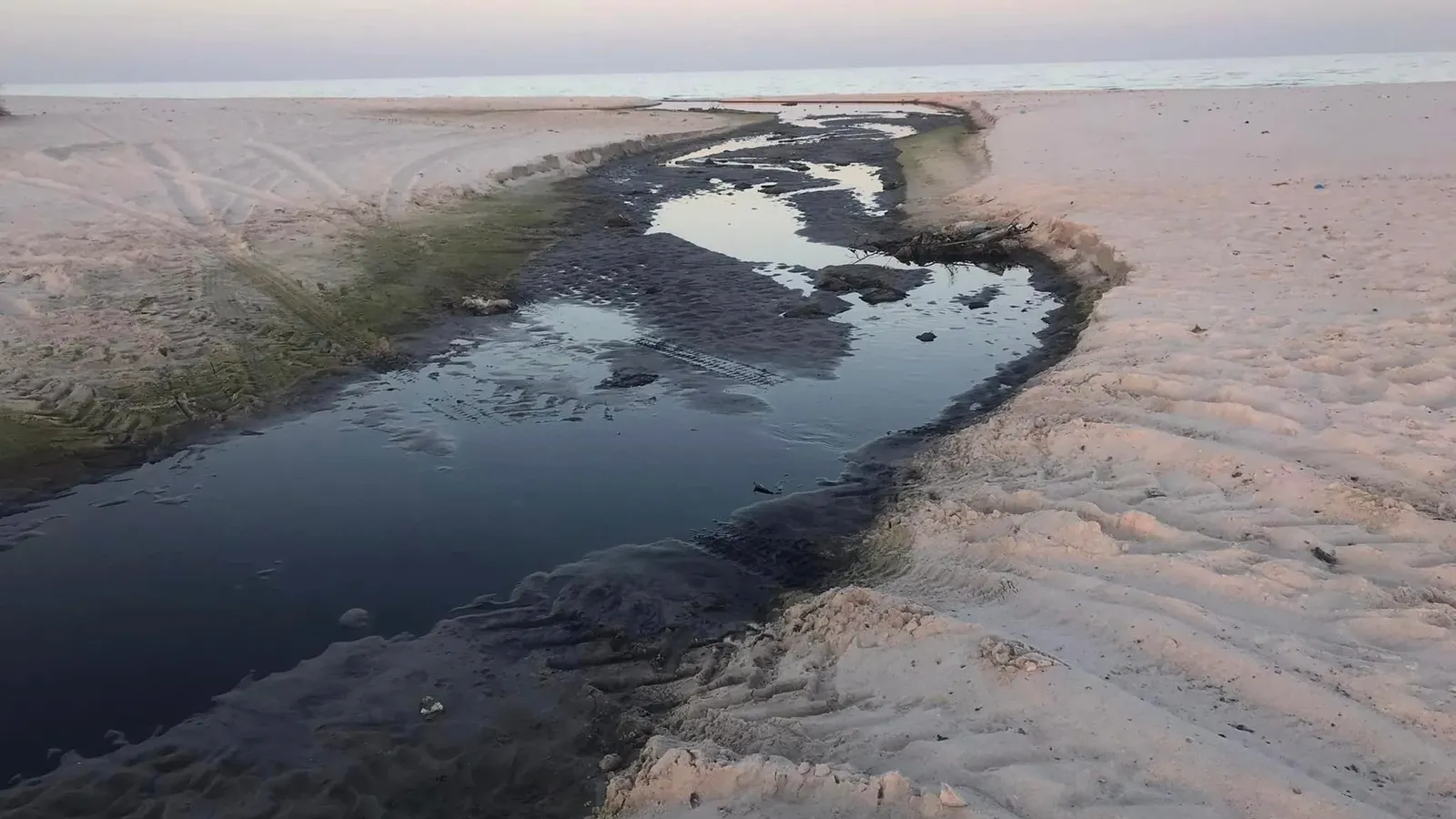 Oued El Mrigheb, une rivière polluée à Menzel Temim dont l'eau est déversée directement dans la mer. Crédit : Blue TN