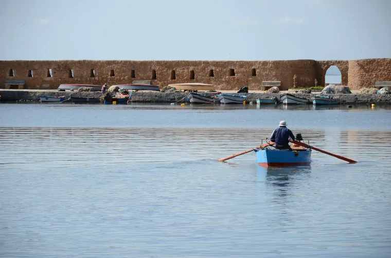 Solutions fondées sur la nature: une lueur d'espoir pour la Tunisie