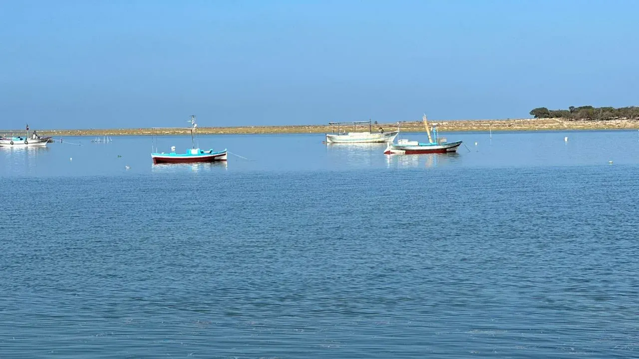 Photo de 4 bateaux amarrés dans la mer de Kerkennah, octobre 2023.