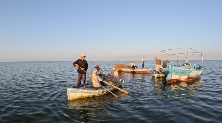 Pêche artisanale : qui sauvera la Damessa de Kerkennah ?