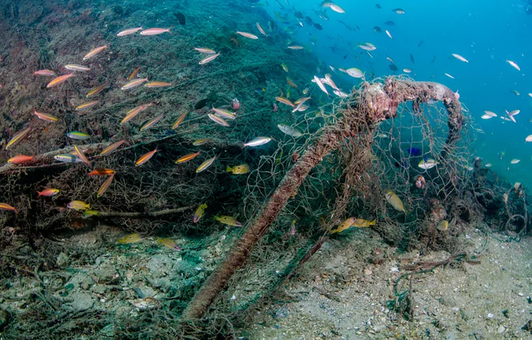 Sharks, Nets & Mercury: Tunisia’s Hidden Fishing Cost