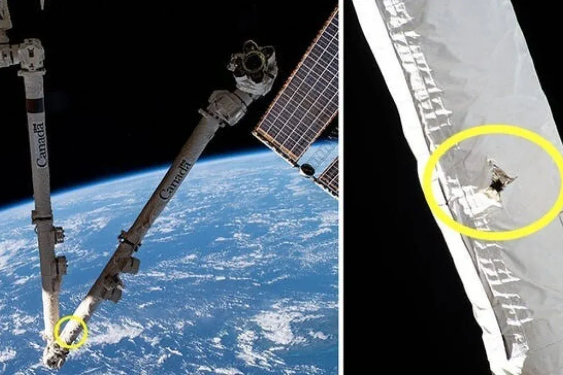 Crédit : Nasa et l'agence spatiale canadienne
