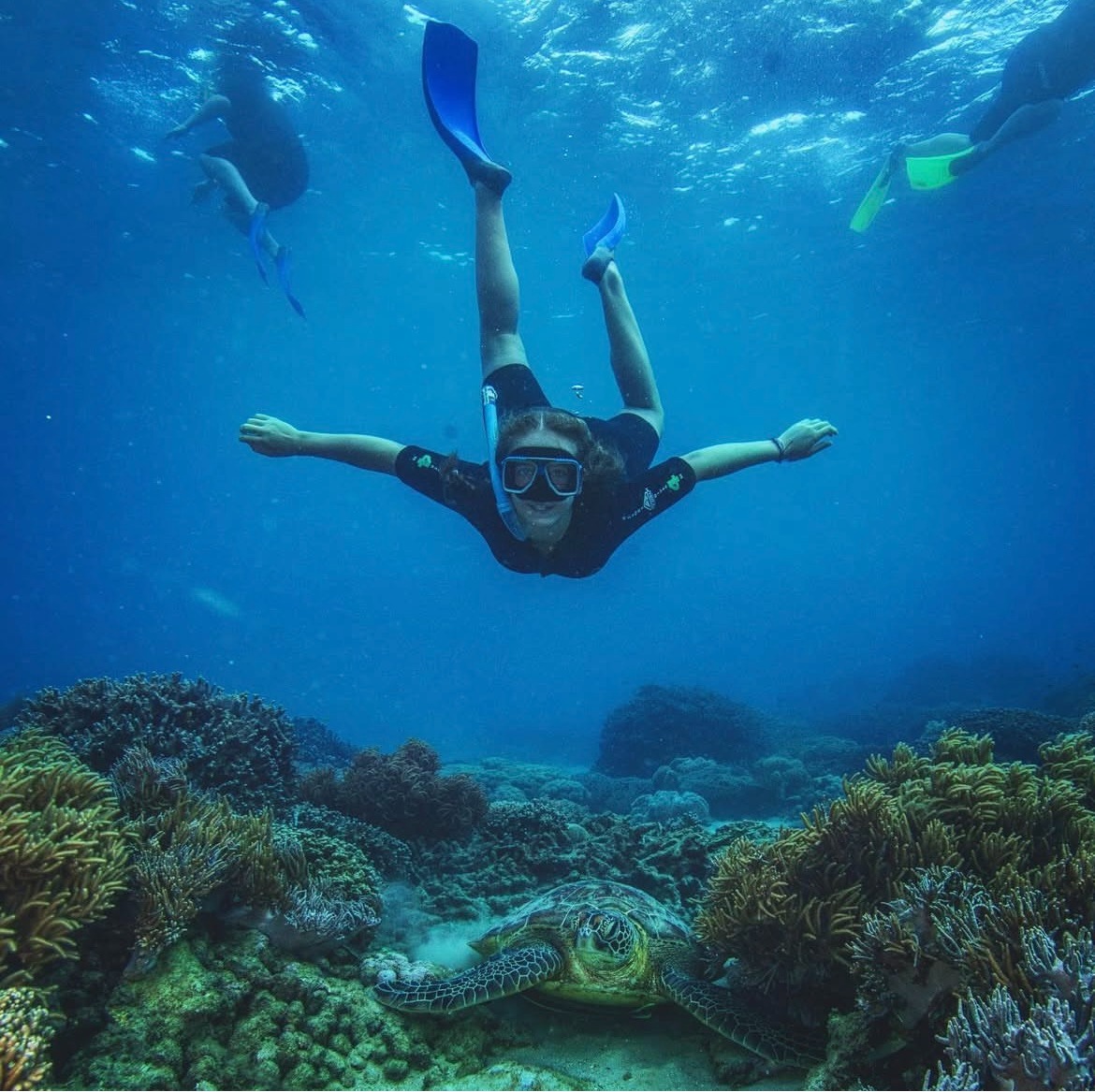 Will Law Be Enough to Prevent Sharks Collapse?