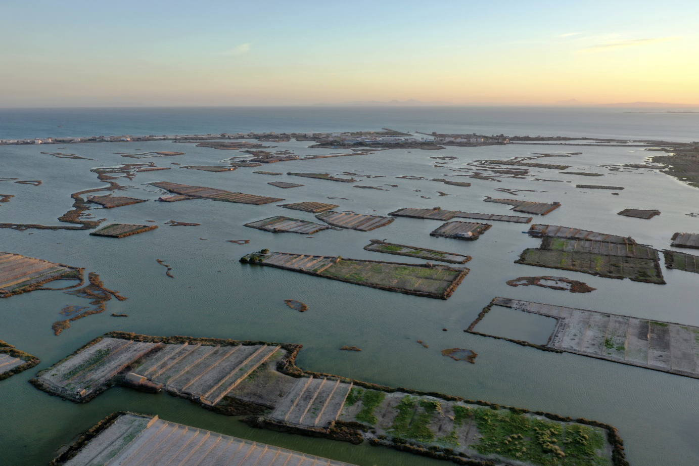 Solutions fondées sur la nature: une lueur d'espoir pour la Tunisie