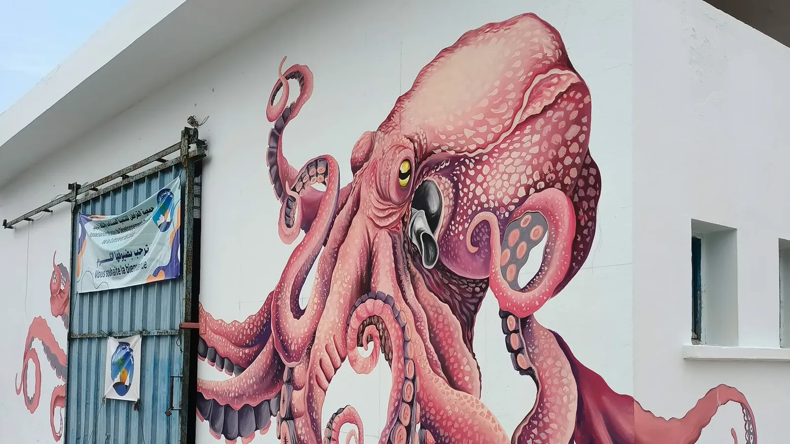 Peinture murale de pieuvre sur l'île de Kerkennah, réalisée par l'artiste Skander Tej. Copyright : Skander Tej