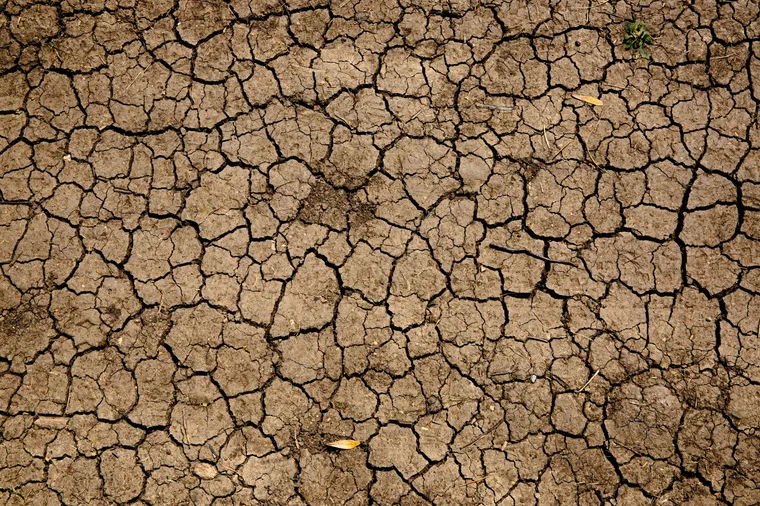 500 millions de personnes ont subi la désertification!