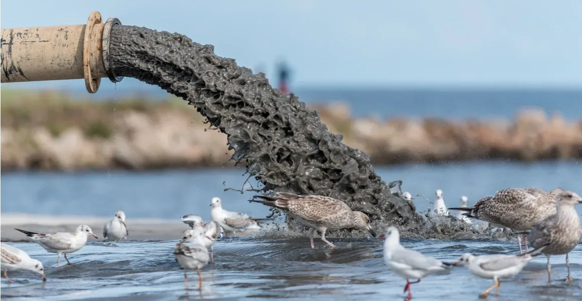 La crise environnementale en Tunisie : Les conséquences désastreuses d'une gestion négligée des eaux usées
