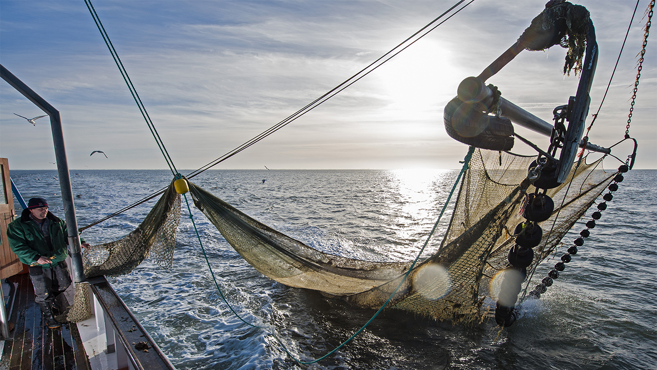 Le pêcheur de crevettes Stephan Hellberg prépare l'une des deux dragues du crevettier Nixe II pour la prochaine prise en mer du Nord au large de Dorum-Neufeld, en Allemagne, le 24 novembre 2016. Photo : Ingo Wagner/dpa | usage worldwide (Photo by Ingo Wagner/picture alliance via Getty Images)