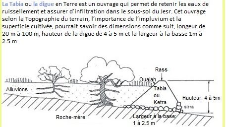 Les gardiens de l'eau : Techniques ancestrales face aux caprices du climat