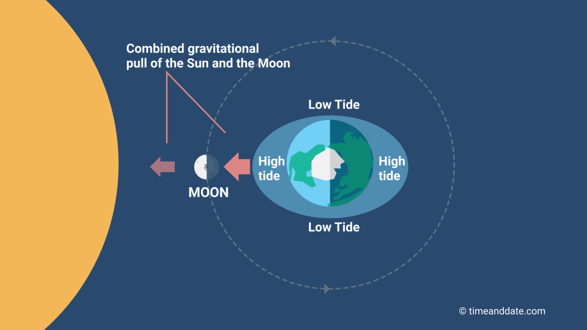 Figure d'interactions entre la lune, le soleil et la lune qui conduit aux phénomènes de marée d'équinoxe.