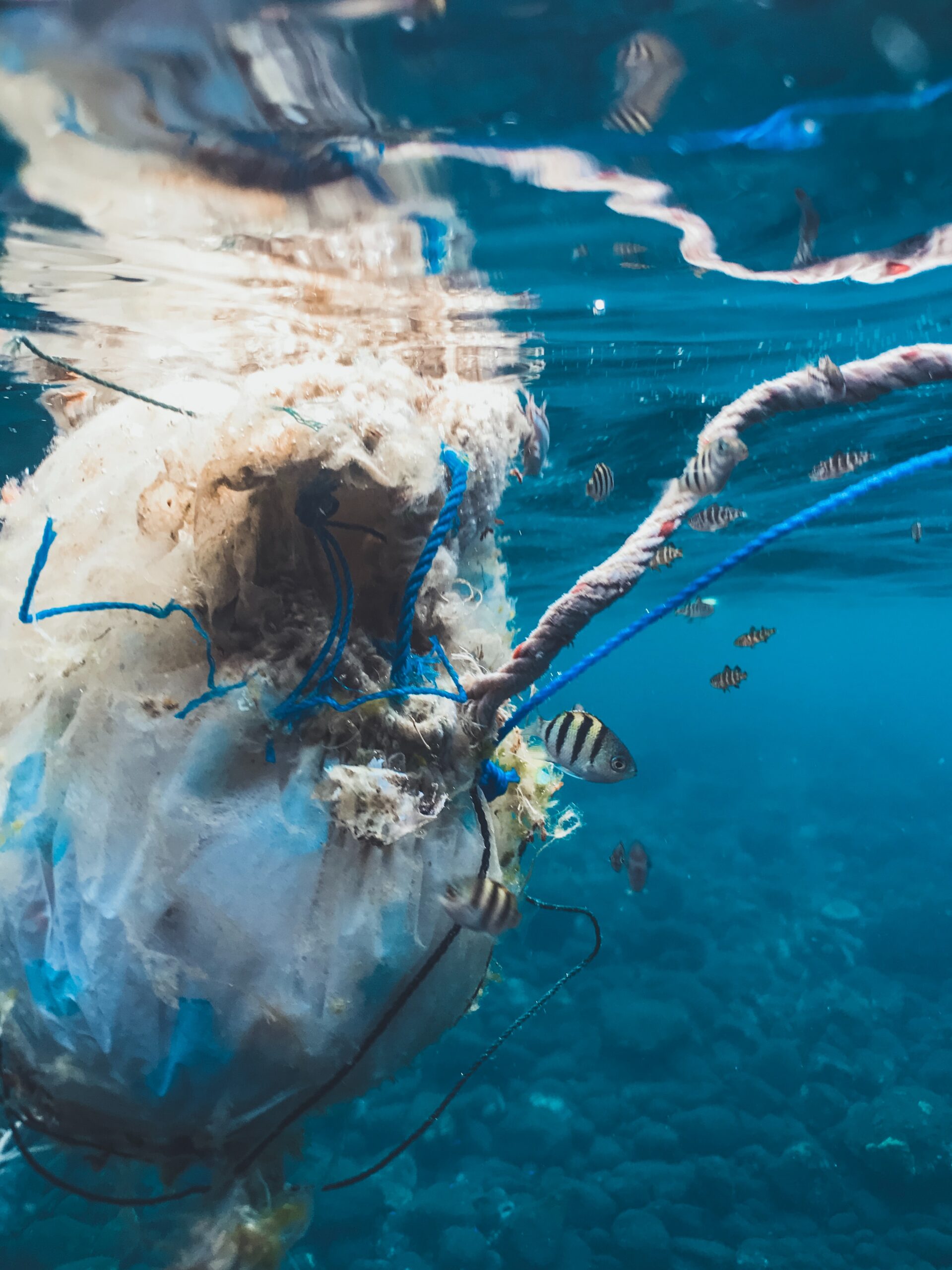 24.400 milliards de microplastiques dérivent sur nos océans !