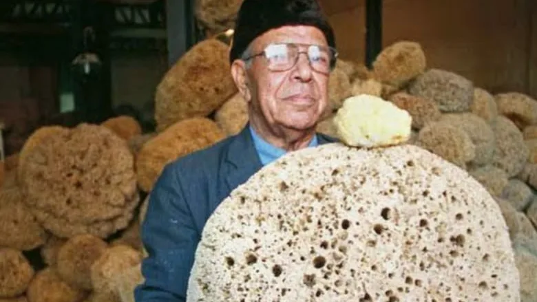 Mr Mohamed M'Barek, grossiste-exportateur d'éponges à Sfax, tenant la plus grosse éponge pêchée. 