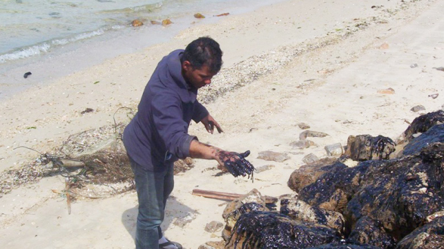 Fuite de pétrole sur la plage de Sidi Fraj à Kerkennah, mars 2016