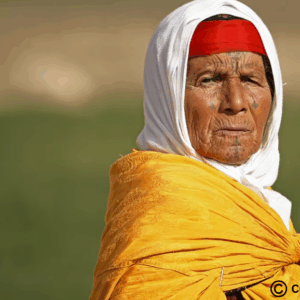 Khadidja stands outside her house in Sra Ouertane, in the hills south of Kef Governorate, Tunisia. While Tunisian women graduate from university at a rate almost double that of men, female unemployment is 26 per cent, versus 16 per cent for men. (Zohra Bensemra/Reuters)