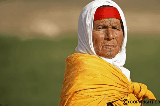 Khadidja stands outside her house in Sra Ouertane, in the hills south of Kef Governorate, Tunisia. While Tunisian women graduate from university at a rate almost double that of men, female unemployment is 26 per cent, versus 16 per cent for men. (Zohra Bensemra/Reuters)